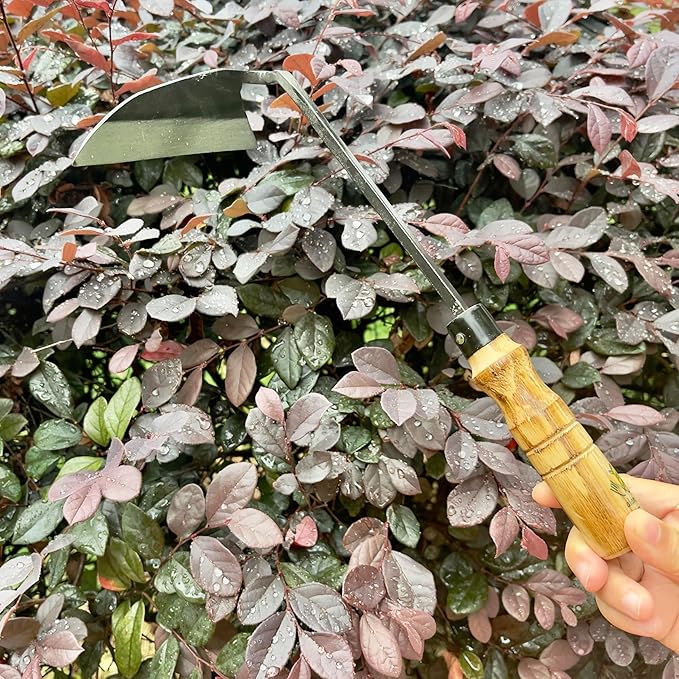 12 Inch Japanese Gardening Hand Weeding Sickle, Weeding Hoe with Long Wooden Handle-BloomoryGarden