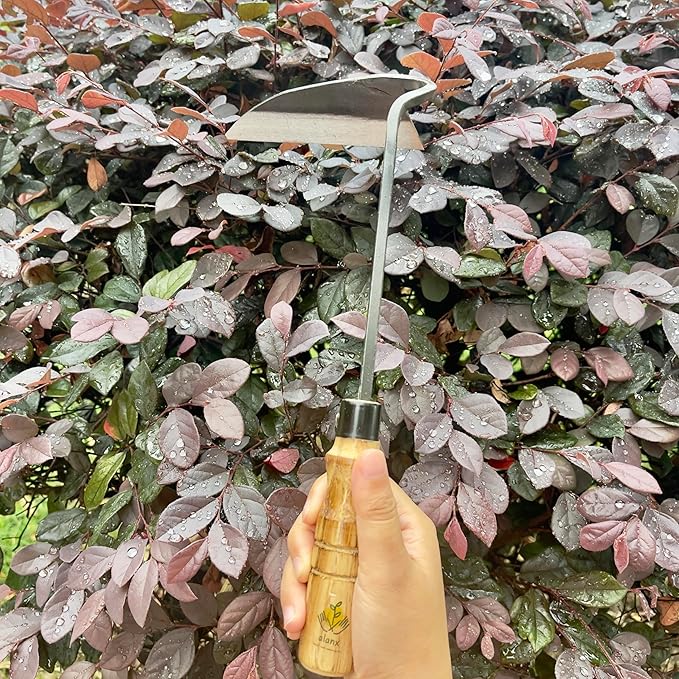 12 Inch Japanese Gardening Hand Weeding Sickle, Weeding Hoe with Long Wooden Handle-BloomoryGarden