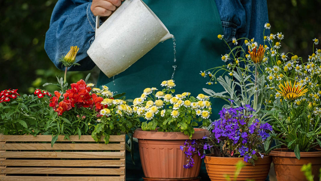 "Petals & Pots: Decorating Your Home with Greenery"
