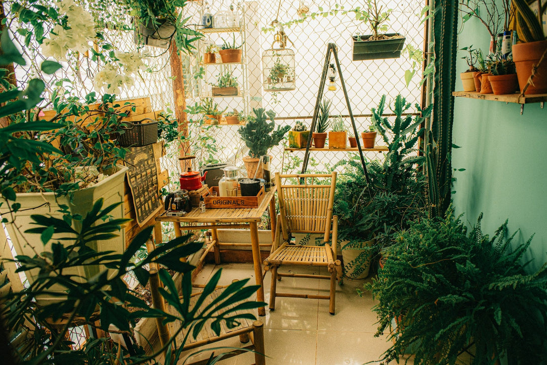 How to Create a Beautiful Garden in Small Spaces