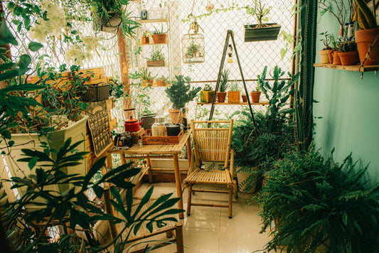 How to Create a Beautiful Garden in Small Spaces