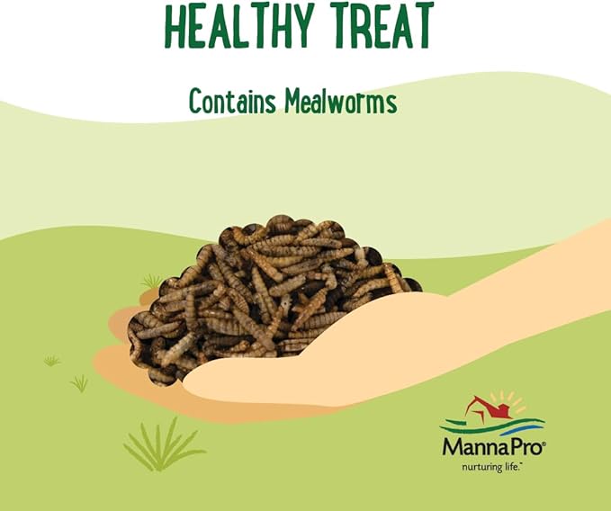 Manna Pro Mealworms Poultry Treat - High Protein, 100% Natural, 10oz-BloomoryGarden