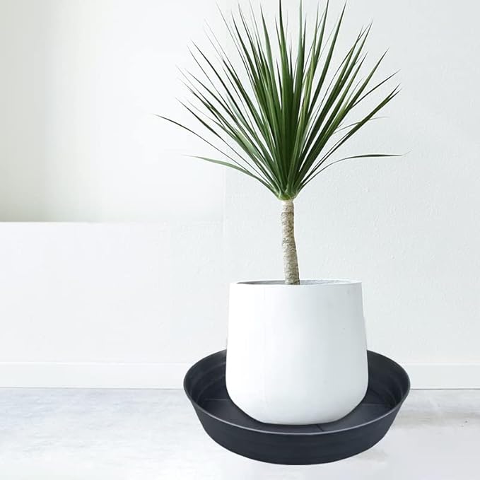 16 Inch Large Plant Saucers, Extra-Deep 2.3 in Black Drip Trays for Flower Pot, Heavy Duty Drainage Tray for Indoors No Holes, 4 Pack Plastic Planter Plate Water Catcher for Pots Base 12 13 14 in-BloomoryGarden