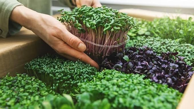 100% Natural Organic Microgreens Premium Potting Mix by Gardenera: Ideal Balance of Air, Moisture, and Nutrients - 2 Quart-BloomoryGarden