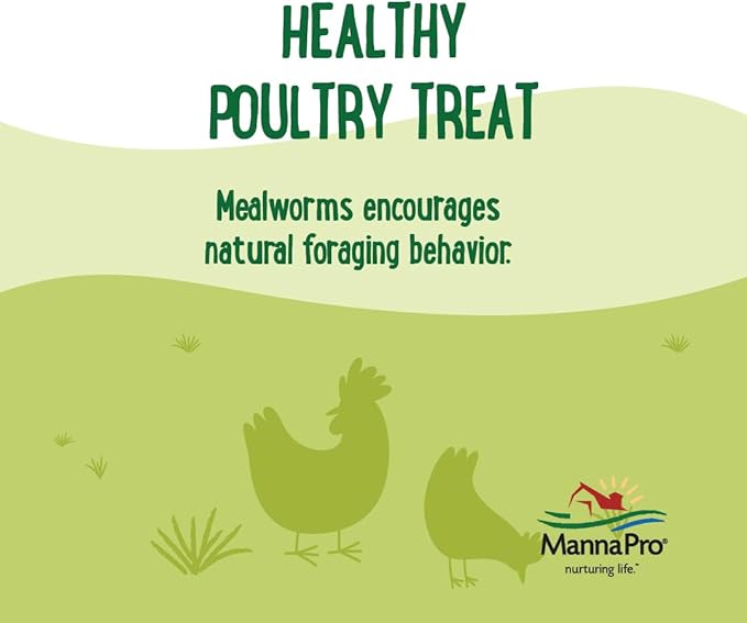 Manna Pro Mealworms Poultry Treat - High Protein, 100% Natural, 10oz-BloomoryGarden