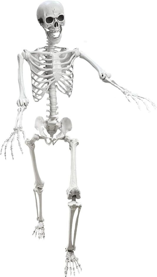 Lodou 5.4Ft Posable Life Size Human Adult Skeletons Plastic Human Bones with Movable Joints for Halloween Decoration-BloomoryGarden