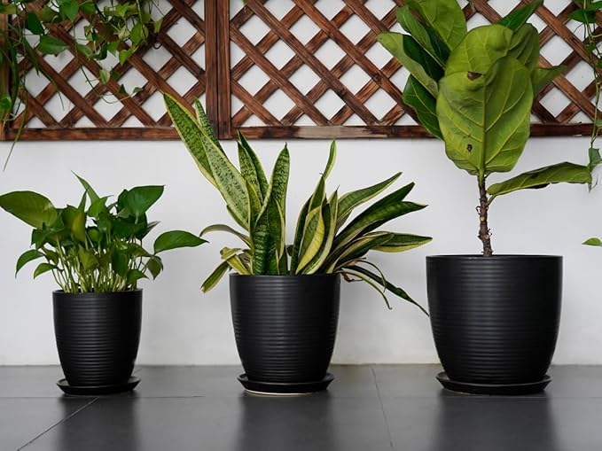 12 Inch Pots for Plants - Ceramic Planter Pot, Large Flower Pot with Drainage Hole and Saucer for Home Patio Garden Office Indoor Outdoor, Black-BloomoryGarden