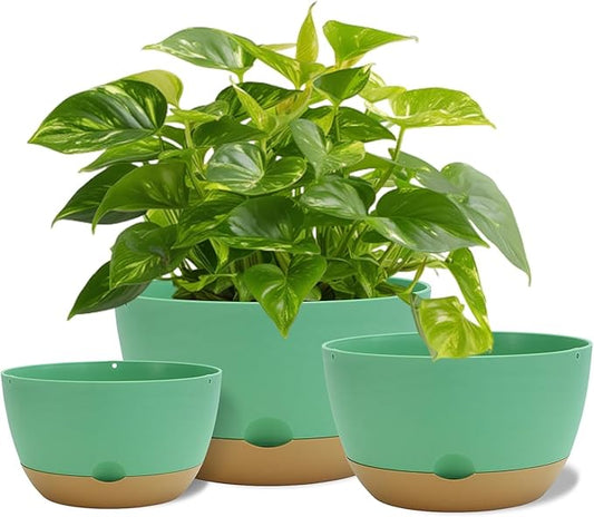 12 Inch Pots for Indoor Plants, Large Self Watering Planters with Drainage and Saucers, Plastic Outdoor Flower Pot, Set of 2, Green-BloomoryGarden
