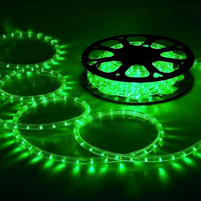 100ft LED Rope Lights Outdoor, 720 LED Connectable and Flexible Tube Lights with 8 Modes, Waterproof LED Rope Lighting for Garden, Patio, Pool, Bedroom, Party, Indoor Outdoor Christmas Decor (Green)-BloomoryGarden