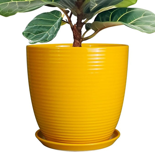12 Inch Pots for Plants - Ceramic Planter for Indoor Plants Large Plant Pot with Drainage Hole and Saucer Round Outdoor Flower Pot for Garden Home Patio Office Yellow-BloomoryGarden