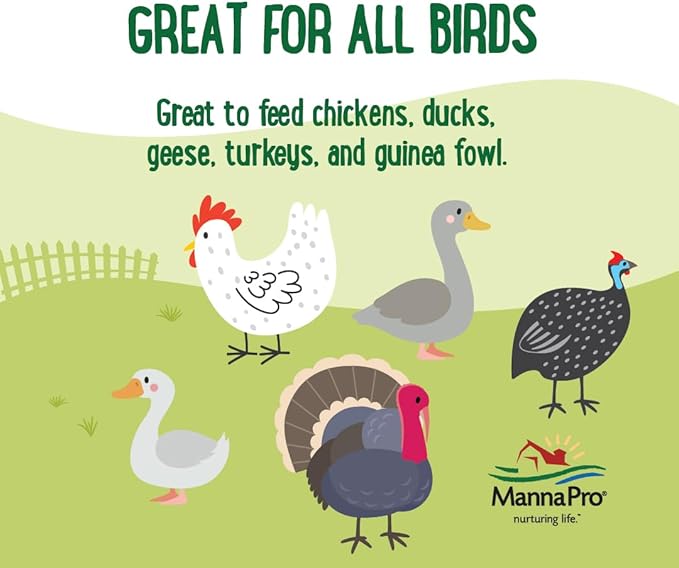 Manna Pro Mealworms Poultry Treat - High Protein, 100% Natural, 10oz-BloomoryGarden