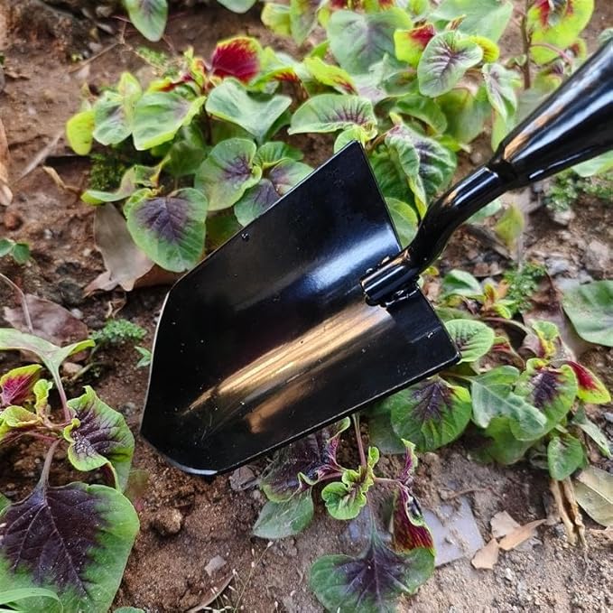 Gardening Tools – 3-in-1 Premium Garden Tool Set,Heavy Duty Pruning Shear, Trowel and Transplanter,Rust-Proof Hand Tool Set, Ideal Gardening Gifts for All (Black)-BloomoryGarden
