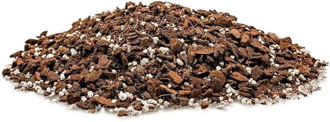 Hurricane Plant Potting Soil - Promotes Optimal Drainage and Aeration for Vibrant Foliage - 3 Quart