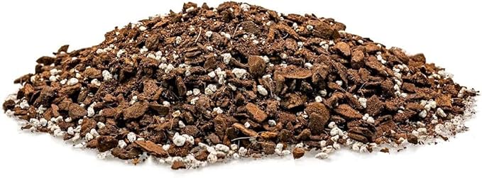 Hurricane Plant Soil Mix - Expertly Formulated for Strong Root Development - 2 Quart