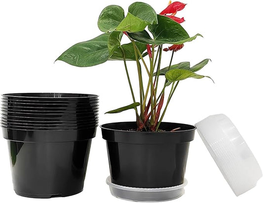 12 Pack Plant Pots, 8 Inch Plant Planter with Clear Saucer, Plastic Pots for Plants Indoor and Out Door Such as Strawberry, Herb and Flowers (Black)-BloomoryGarden