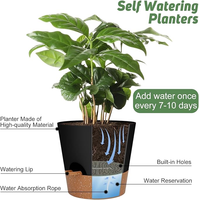 10-Inch Plant Pots, Self-Watering Planters with Drainage Holes & Saucers for Indoor and Outdoor Plants (2-Pack, Black)-BloomoryGarden