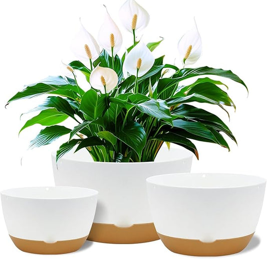 12 Inch Pots for Indoor Plants, Large Self Watering Planters with Drainage and Saucers, Plastic Outdoor Flower Pot, Set of 2, White-BloomoryGarden