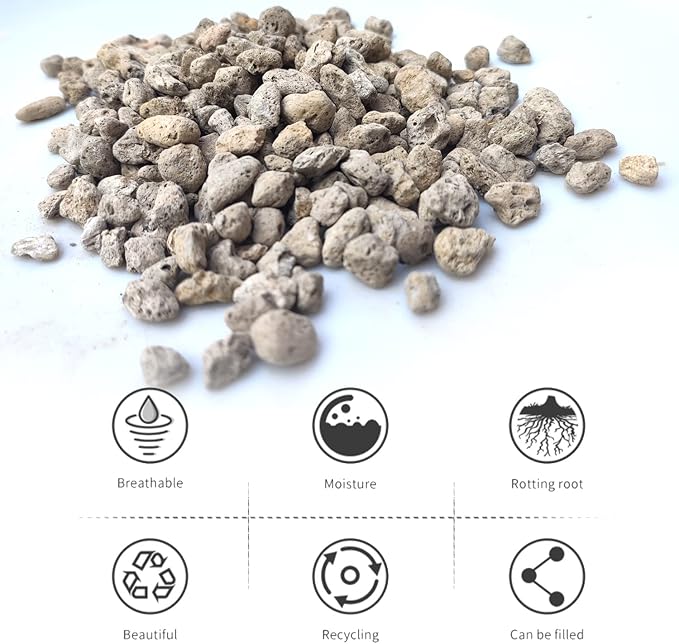 Horticultural Pumice for Plants Professional Sifted (5QT, 1/2 inch)