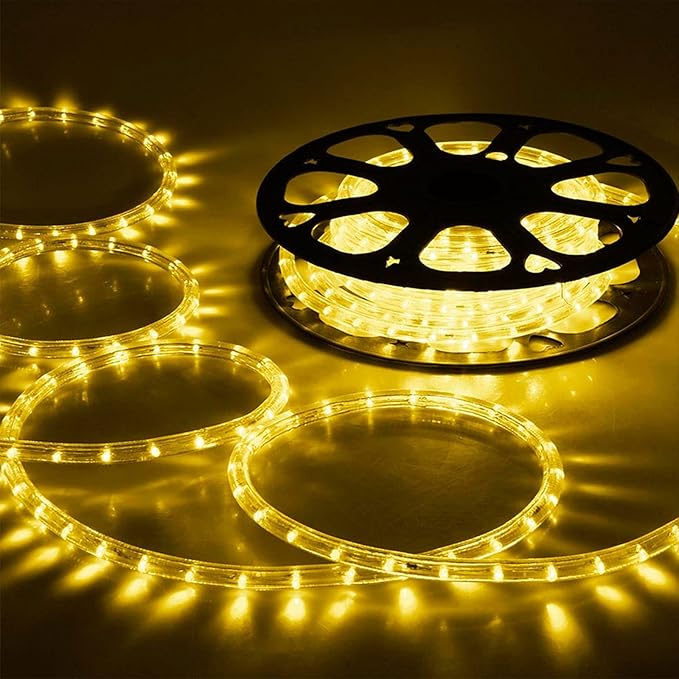 100ft LED Rope Lights Outdoor, 720 LED Connectable and Flexible Tube Lights with 8 Modes, Waterproof LED Rope Lighting for Garden, Patio, Pool, Bedroom, Party, Indoor Outdoor Decoration (Warm White)-BloomoryGarden