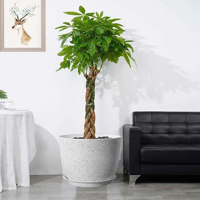 12/10/9 Large Modern Plant Pots, Plastic Planters with Drainage Holes and Saucers for Indoor Outdoor Plants Flowers, White Speckles-BloomoryGarden