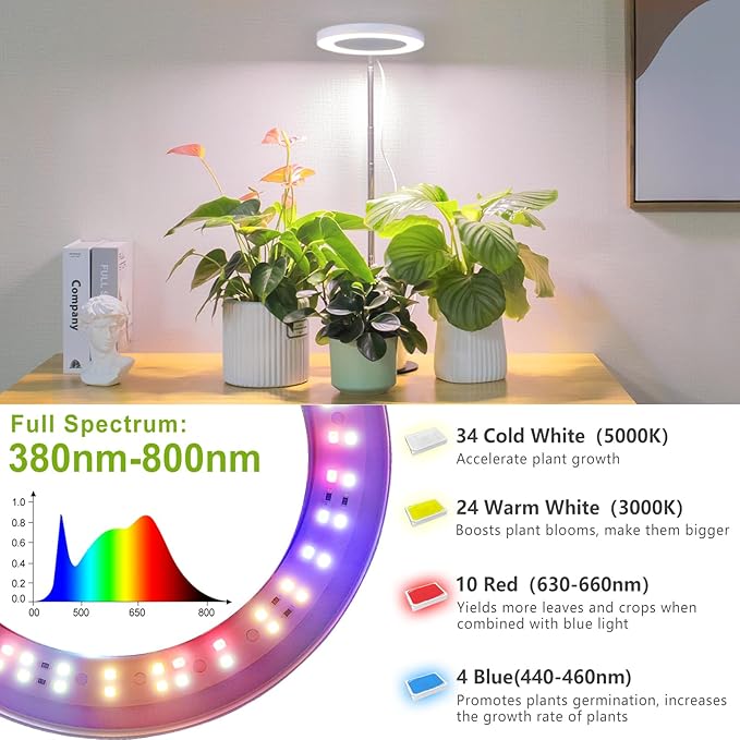 LORDEM Grow Light, LED Plant Light for Indoor Plants Growing, Full Spectrum Desk Growth Lamp with Automatic Timer for 4H/8H/12H, 4 Dimmable Levels, Height Adjustable 9.8"-30.6"-BloomoryGarden