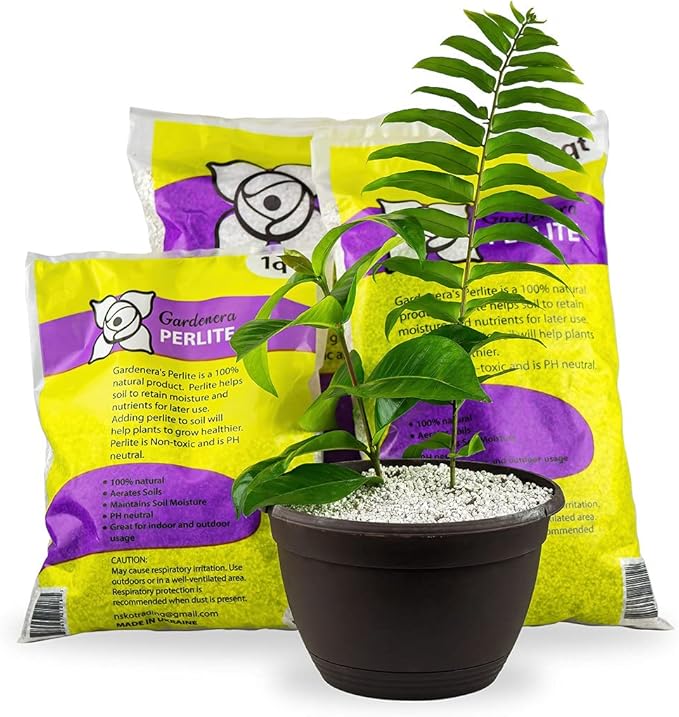 Organic Perlite - Medium/Fine Grade (4 Quart Bag) Horticultural Soil Amendment for Indoor & Outdoor Container Plants for Drainage Management and Enhanced Growth