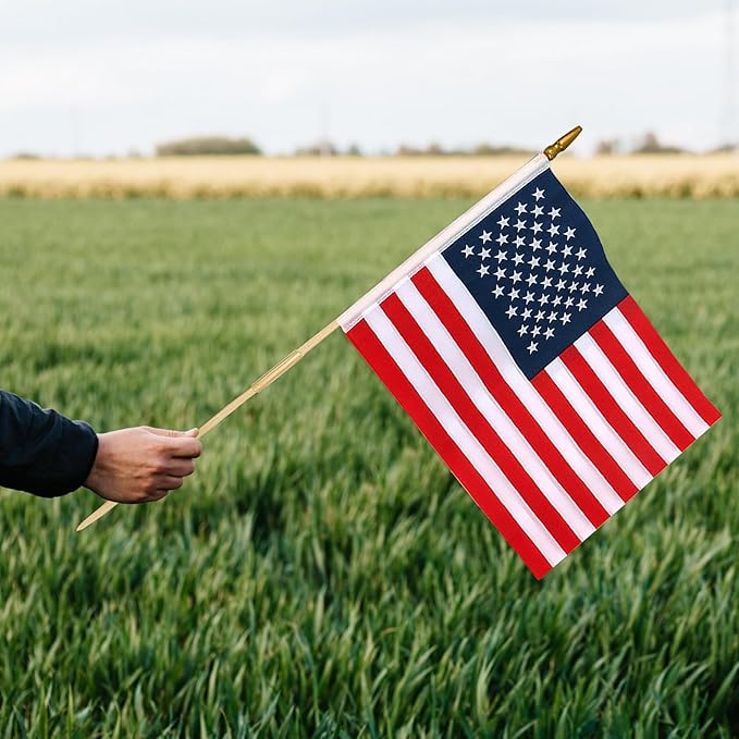 100 Pcs 12x18 Inch American Flags on Stick, American Flags, USA Stick Flag with Handheld and Grounded Multi-Purpose Flagpole, Design for Memorial Day, 4th of July, Veterans Day-BloomoryGarden
