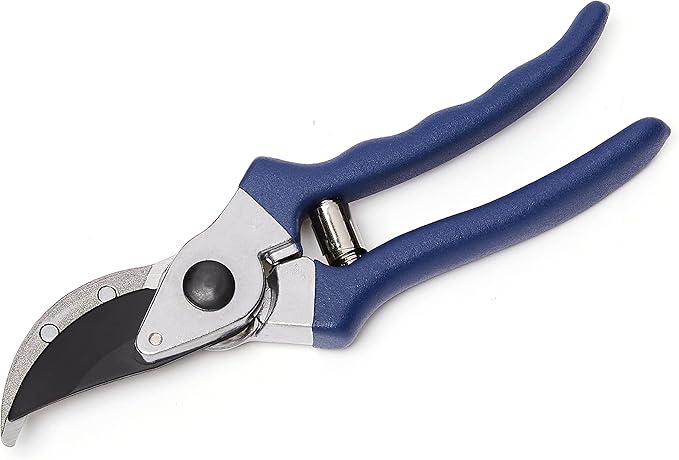 Amazon Basics Professional Hand Pruners, Garden Clippers, Pruning Shears, 8-inch Steel Bypass Garden Scissors, Blue-BloomoryGarden