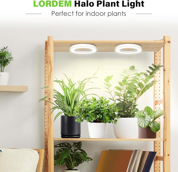 LORDEM 6.3” Ceiling Grow Light for Indoor Plants, 144 LEDs Full Spectrum Halo Grow Lamp, Under Cabinet Plant Lamp with 4/8/12H Auto Timer, 4 Dimmable Brightness Levels, Ideal for Pot Plants, Dual Head-BloomoryGarden