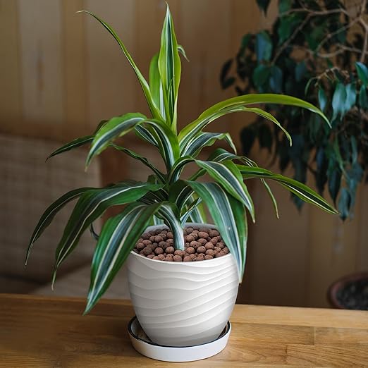 10LB Leca Clay Pebbles for Plants, Expanded Leca Balls for Indoor Plants, Orchid Potting Mix, Soil Amendment, Drainage, Easy Reusability, 4-16mm-BloomoryGarden