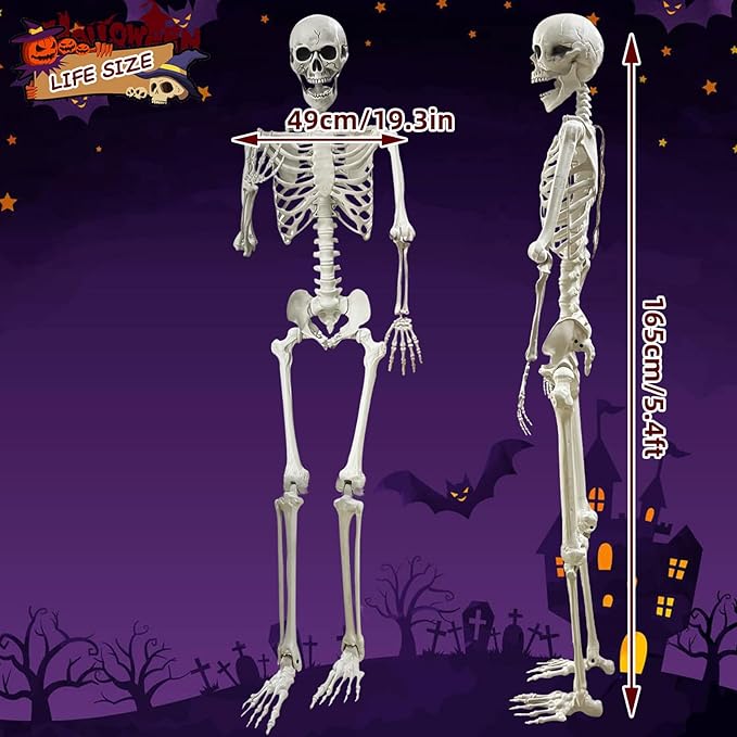 Lodou 5.4Ft Posable Life Size Human Adult Skeletons Plastic Human Bones with Movable Joints for Halloween Decoration-BloomoryGarden
