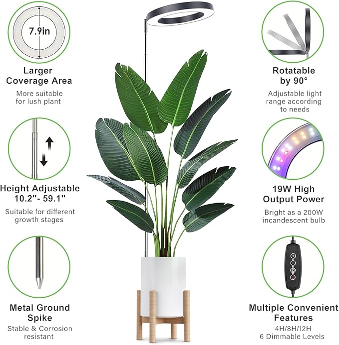 LORDEM Grow Light for Indoor Plants, 7.9" Full Spectrum LED Plant Grow Light, Height Adjustable Growing Lamp with Auto Timer 4H/8H/12H, 6 Dimmable Levels, Black, 1 Pack-BloomoryGarden