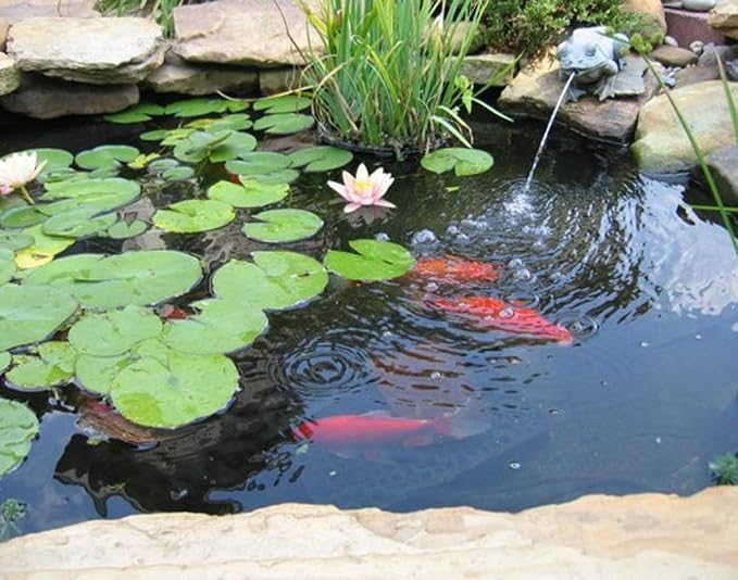 10 x 13 Feet Pond Liner, 20 Mil Pond Liners for Outdoor Ponds, Black LDPE Pond Liner for Waterfall, Fish Koi Ponds, Garden Fountain-BloomoryGarden