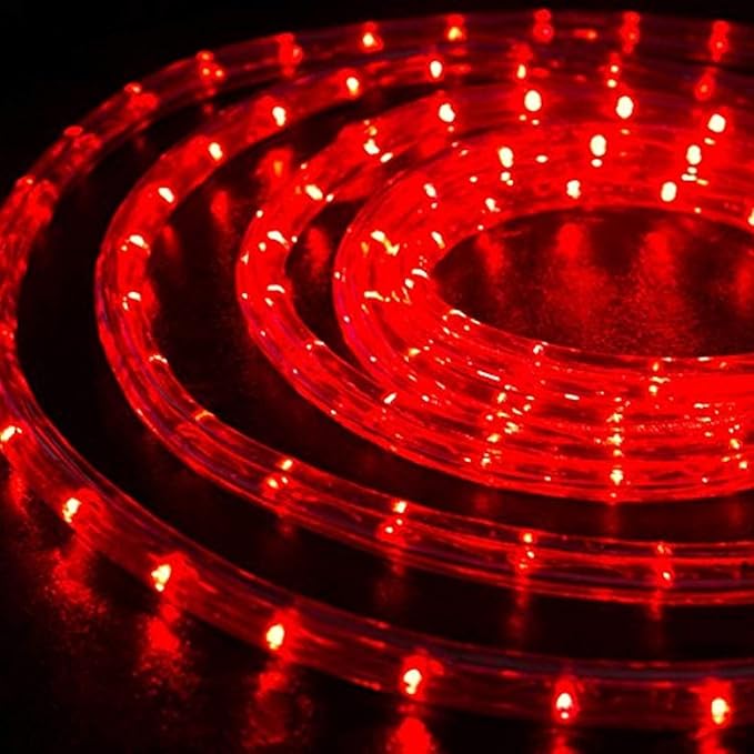 100ft LED Rope Lights Outdoor, 720 LED Connectable and Flexible Tube Lights with 8 Modes, Waterproof LED Rope Lighting for Garden, Patio, Pool, Bedroom, Party, Indoor Outdoor Christmas Decor (Red)-BloomoryGarden