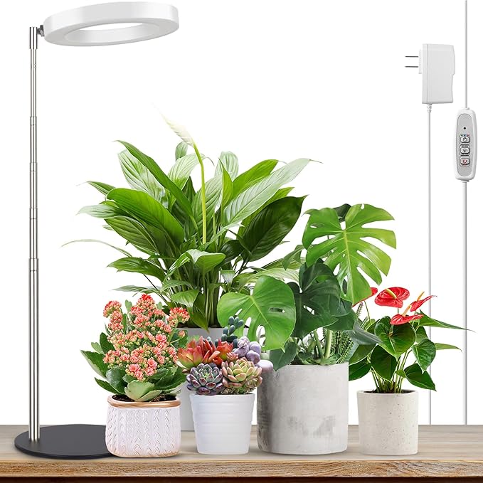 LORDEM Grow Light, LED Plant Light for Indoor Plants Growing, Full Spectrum Desk Growth Lamp with Automatic Timer for 4H/8H/12H, 4 Dimmable Levels, Height Adjustable 9.8"-30.6"-BloomoryGarden