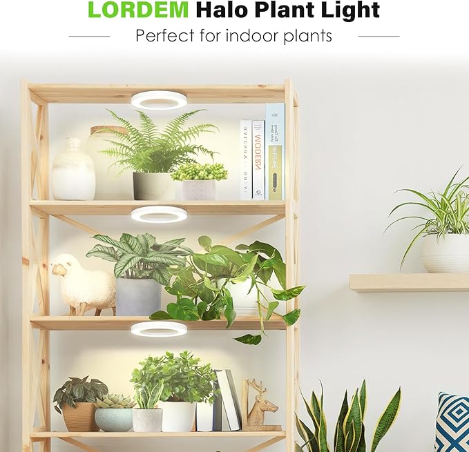 LORDEM 6.3” Ceiling Grow Lamp for Indoor Plants, 216 LEDs Full Spectrum Halo Plant Light, Under Cabinet Grow Lights with 4/8/12H Auto Timer, 3 Switch Modes, 4 Dimmable Brightness Levels, Tri Head-BloomoryGarden