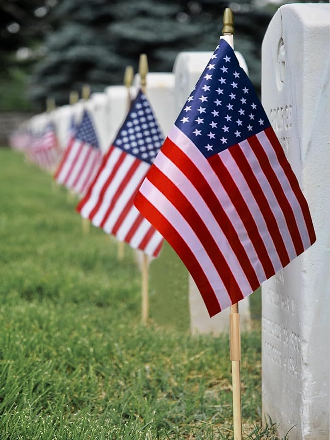 12 Pack 12x18 Inch American Flags for Outside, US Flags with Kid-Safe Spear Top ,American Flags on Stick, Patriotic Decorations,Perfect for Flag Day, Memorial Day, Independence Day Patriotic Holiday Yard Garden Flags-BloomoryGarden