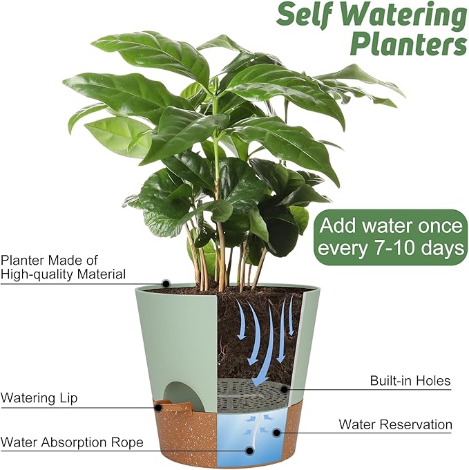 10-Inch Plant Pots, Self-Watering Planters with Drainage Holes & Saucers for Indoor and Outdoor Plants (2-Pack, Green)-BloomoryGarden
