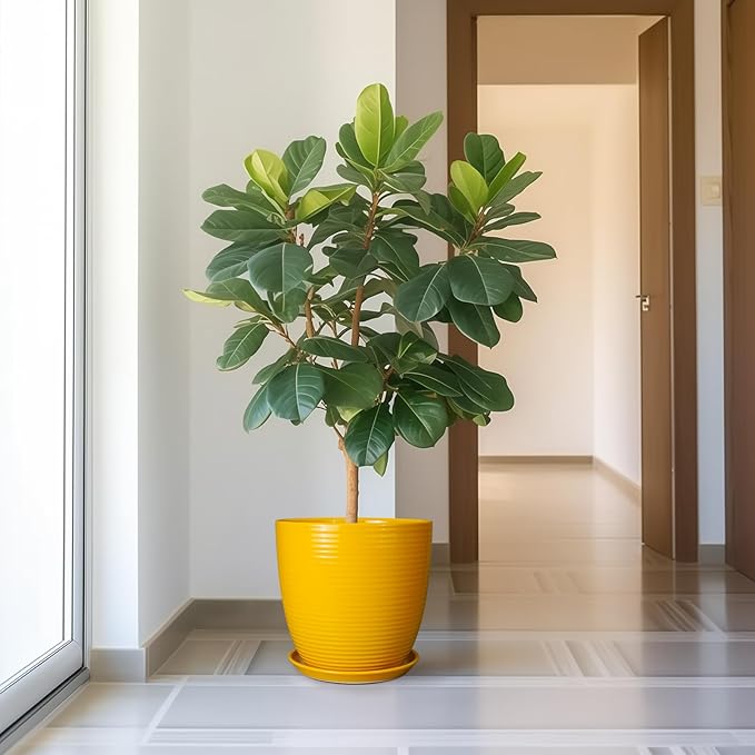 12 Inch Pots for Plants - Ceramic Planter for Indoor Plants Large Plant Pot with Drainage Hole and Saucer Round Outdoor Flower Pot for Garden Home Patio Office Yellow-BloomoryGarden