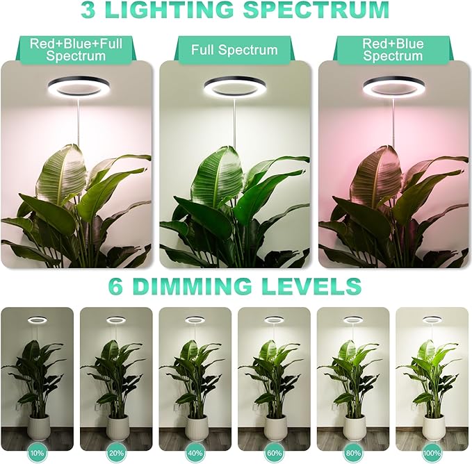 LORDEM 10" Full Spectrum Plant Light, 160 LEDs Large Grow Light for Indoor Tall Plants, Growing Lamp with 4/8/12H Auto Timer, 10 Dimmable Levels, 3 Spectrum Modes, 61" Height Adjustable, Pack of 2-BloomoryGarden
