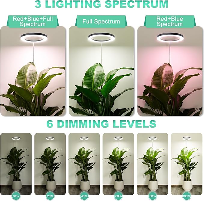 LORDEM 10" Full Spectrum Grow Light, 160 LEDs Plant Lamp for Indoor Plants, Grow Lamp with 4/8/12H Auto Timer, 10 Dimmable Levels, 3 Spectrum Modes, 61" Height Adjustable, Ideal for Large Tall Plants-BloomoryGarden