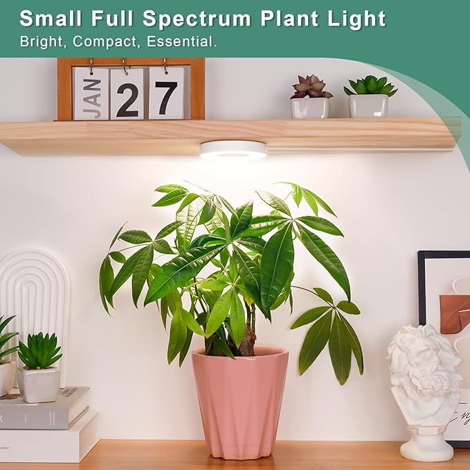 LORDEM Grow Light for Indoor Plants, 48 LEDs Ceiling Full Spectrum Plant Light, 5V Corded Growing Lamp with 4/8/12H Auto Switch, 4 Dimmable Brightness Levels, Ideal for Small Plants-BloomoryGarden