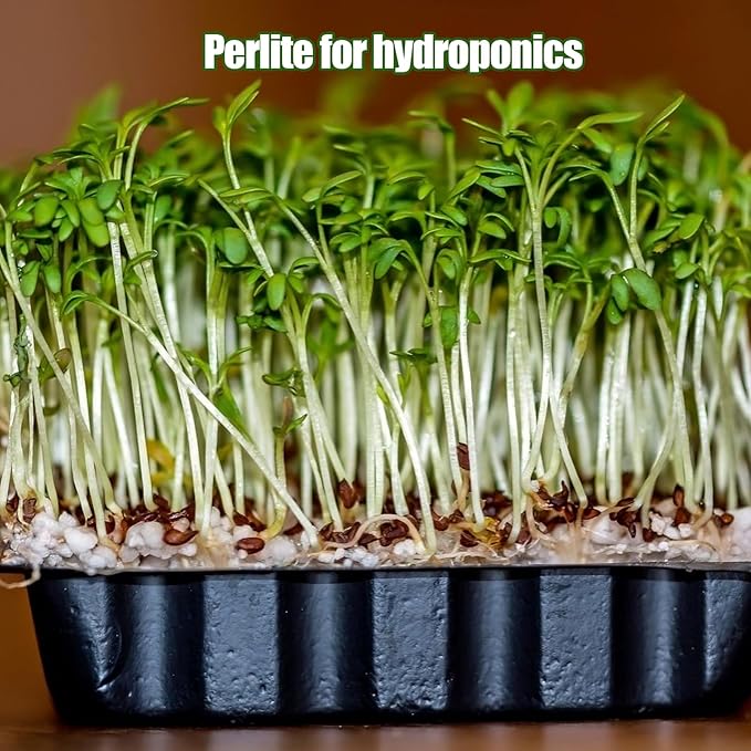 Horticultural Perlite for Plants 1qt, Natural Horticultural Soil Additive Conditioner Mix to Improve Soil Aeration & Dranage for Houseplant