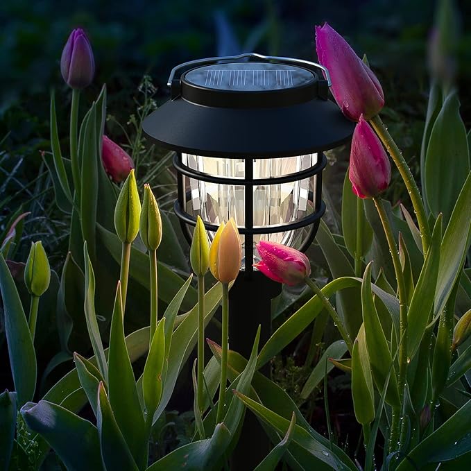 10 Pack Solar Pathway Lights Outdoor - Bright Solar Powered Garden Lights with Warm White LED, Auto On/Off Waterproof Path Lights Decorative, Landscape Lighting for Yard Patio Walkway Driveway-BloomoryGarden