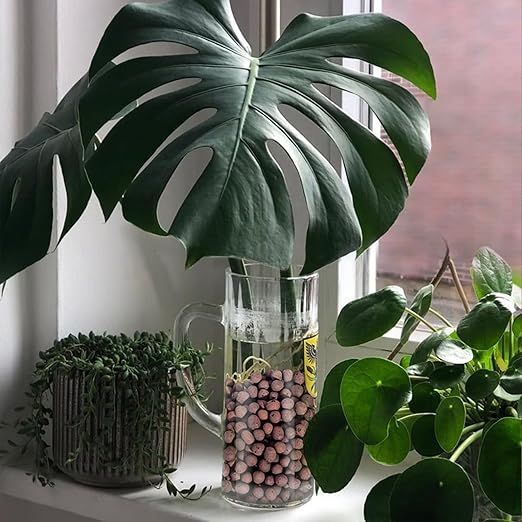 10LB Leca Clay Pebbles for Plants, Expanded Leca Balls for Indoor Plants, Orchid Potting Mix, Soil Amendment, Drainage, Easy Reusability, 4-16mm-BloomoryGarden
