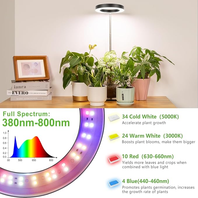 LORDEM Grow Light, LED Plant Light for Indoor Plants Growing, Full Spectrum Desk Growth Lamp with Automatic Timer for 4H/8H/12H, 4 Dimmable Levels, Height Adjustable 9.8"-30.6", Black-BloomoryGarden
