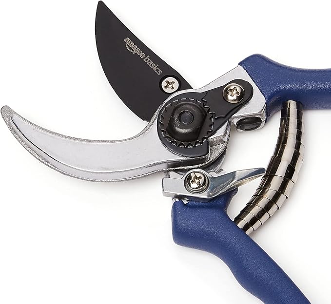 Amazon Basics Professional Hand Pruners, Garden Clippers, Pruning Shears, 8-inch Steel Bypass Garden Scissors, Blue-BloomoryGarden