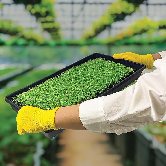 10 Plant Growing Trays (No Drain Holes) - 20" x 10" - Perfect Garden Seed Starter Grow Trays: for Seedlings, Indoor Gardening, Growing Microgreens, Wheatgrass & More - Soil or Hydroponic-BloomoryGarden