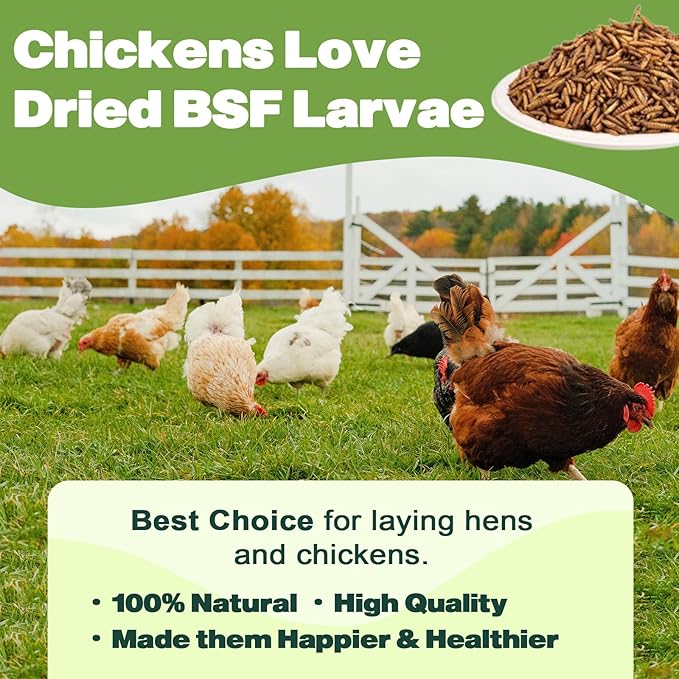 10LB Dried Black Soldier Fly Larvae, 86X Calcium Than Dried Mealworms, High Protein Non-GMO Organic Chicken Feed-BloomoryGarden