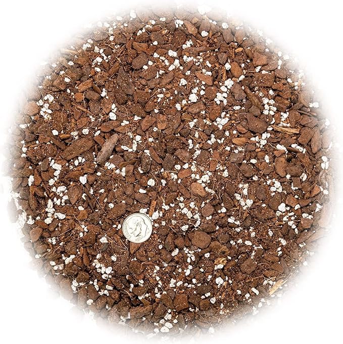 Hurricane Plant Planting Mix - Promotes Steady Growth and Lush Leaves - 10 Quart (2 Bags of 5 Quart)